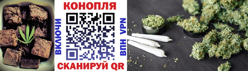 Cannafood конопля  ссылка на мегу как зайти  Аргун 