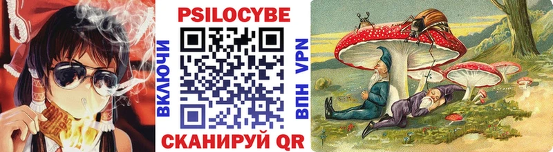 Псилоцибиновые грибы мухоморы Аргун